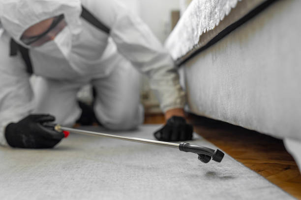 Professional Cockroach Control technician working in Garberville, CA