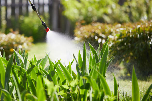 24/7 Emergency Cockroach Control experts in Garberville, CA