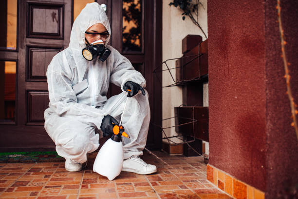 Reliable Cockroach Control contractor in Garberville, CA by Nex Pest Control